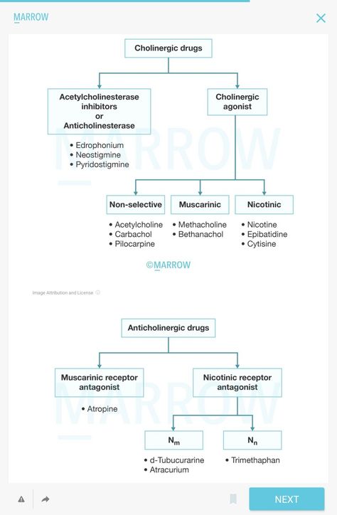 Muscle Relaxants Pharmacology, Ans Pharmacology Notes, Anticholinergic Mnemonic, Cholinergic Agonists, Vet Pharmacology, Pharmacology Notes, Pharmacy School Study, Pharmacology Nursing Study, Clinical Pharmacy