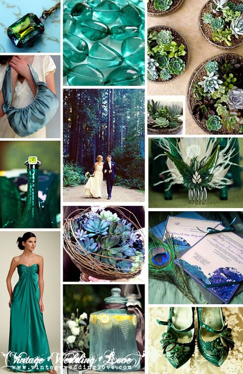 Vintage Wedding Love: Jade and forest green modern wedding inspiration w... Jade Green Wedding, Green And Gold Wedding Theme, Peacock Color Palette, Green Modern Wedding, Fall Rustic Wedding Ideas, Diy Modern Wedding, Our Adventure Begins, Peacock Colours, Wedding Teal