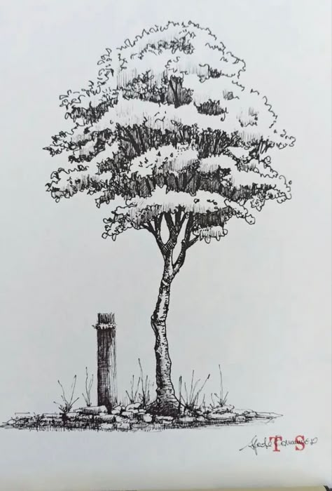 Detailed Tree Drawing, Sketches Landscape, Pencil Sketches Landscape, Odyssey Art, Landscape Sketches, Pencils Drawings, Art Buildings, Aesthetics Art, Fineliner Art