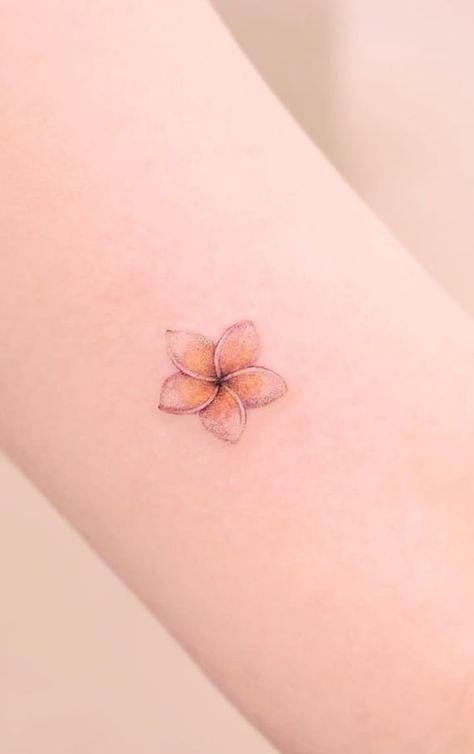 Bali Flowers Tattoo, Plumeria Flower Tattoos For Women, Delicate Hawaiian Tattoo, Pulmaria Plant Tattoo, Hawaii Tattoo Small Hawaiian Flowers, Hawaiian Plumeria Tattoo For Women, Fragipanni Tattoo, Plumeria Tattoos For Women, Frangipane Flower Tattoo