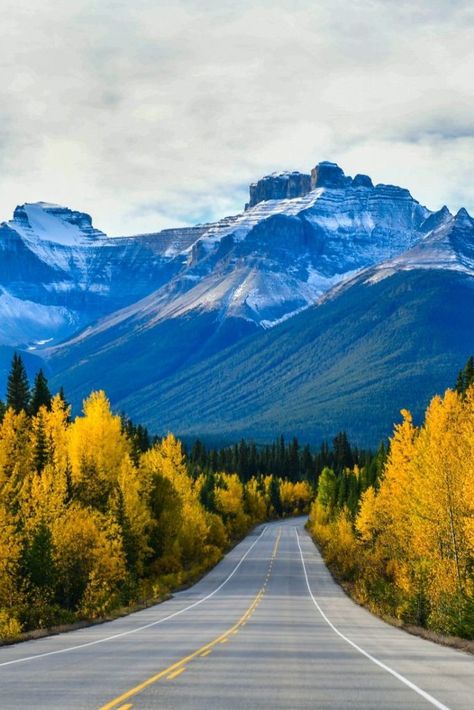 Travel Guide Banff National Park | Plan your Canada holiday and make sure to visit Banff National Park. #Canada #Alberta Icefield Parkway, Canada Wildlife, Park Plan, Canada Holiday, Old Quebec, Jasper National Park, Long Term Travel, Visit Canada, Backpacking Tips