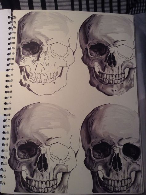 Skulls Gcse Art, Colourful Skull Art, Gcse Art Tone Page, Tone Art Gcse, Tone Gcse Art Page, Final Ideas Art Gcse, Decay Art Gcse, Objects Art Gcse, Natural Forms Sketchbook