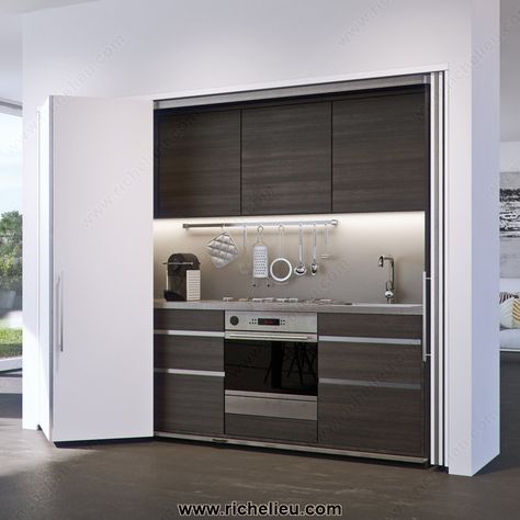 System for Lateral Bi-Fold/Pocket Doors. HAWA-Folding Concepta 25-1 Two Panel Doors, Sliding Cabinet Doors, Hidden Kitchen, Cabinet Fronts, Sliding Door Systems, Concealed Hinges, Door Kits, Wardrobe Doors, Folding Doors