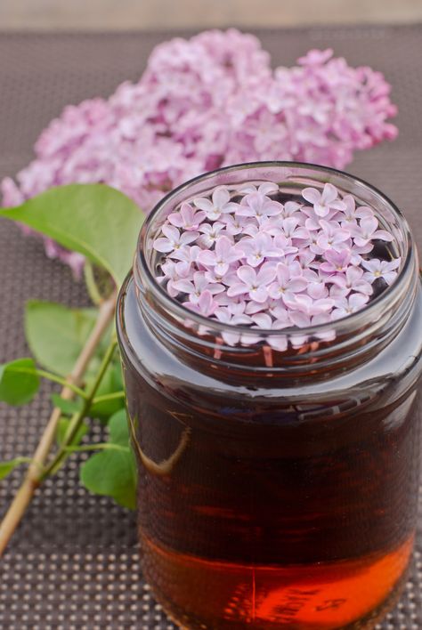 Lilac Tea Recipe, Lilac Tea, Eating Flowers, Flowers Recipes, Flower Recipes, Sweet Tea Recipes, Edible Flowers Recipes, Wild Food Foraging, Foraging Recipes