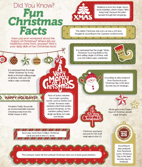 Fun Christmas Facts Store Christmas Lights, Christmas Lights Storage, Christmas Fun Facts, Christmas Facts, Christmas Infographic, Christmas Lesson, Christmas Trivia, Christmas Worksheets, Christmas Time Is Here