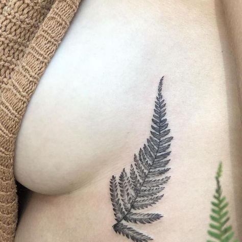 ❅ s k a ð i . i n k ❅ on Instagram: "•Cute Fern, straight from Papatuanuku•🌿" Ostrich Fern Tattoo, Fern And Flower Tattoo, Heart Flower Tattoo, Fern Tattoo, Tree Fern, Heart Flower, January 25, Dope Tattoos, S K