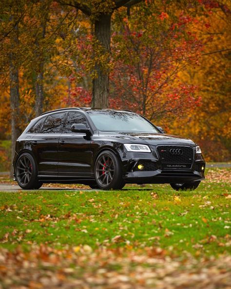 Sophisticated look, but what’s its story? Dive into the 2020 Audi Q5’s past with DVH and save 20% using PT20. Know before you go! #AudiQ5 #DriveLuxury #CarHistory Audi Truck, Audi Q5 Black, Audi Q5, Car Auctions, Truck And Trailer, Classic Cars Trucks, Fuel Economy, Car Insurance, Car Rental