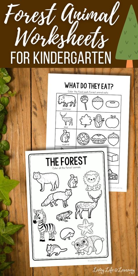 Get kids engaged while learning with these Forest Animal Worksheets for Kindergarten! Spark their creativity and critical thinking as they engage in the different activities included in this homeschool animal worksheet. Foster a love for nature and learning in a fun and educational way! Preschool Forest Animals Theme, Forest Animal Worksheets, Forest Lesson Plans Preschool, Forest Animal Worksheets Preschool, Forest Worksheets For Kids, Forest Animals Activities For Kids, Forest Activities For Kids, Preschool Forest Animals, Forest Animals Activities