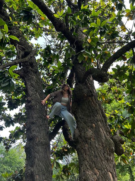 Climbing A Tree, Tree Climbing, Tree Spirit, Tree Pose, Boring Life, Outdoor Climbing, Great Life, True Nature, Art Reference Poses