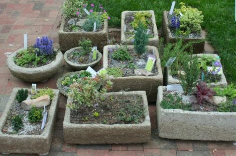 How to make an alpine trough with hypertufa - Alpine Garden Society Concrete Inspiration, Plant Troughs, Alpine Garden, Alpine Plants, Garden Containers, Diy Garden Projects, Concrete Planters, Diy Planters, On The Ground