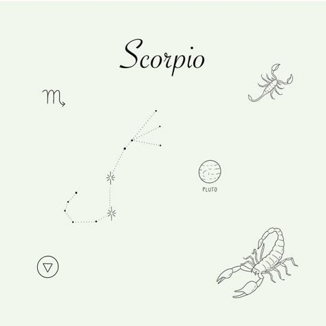 Scorpio Celestial Tattoo, Scorpio Tiny Tattoo, Dainty Scorpio Tattoo, Scorpio Fine Line Tattoo, Small Tattoos Scorpio, Scorpio Tattoo Constellation, Scorpio Hand Tattoo, Scorpio Astrology Tattoo, Scorpio Tattoo Zodiac