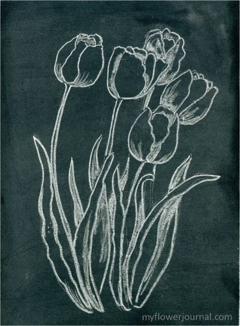 How to do Anthropologie inspired flower chalkboard art: myflowerjournal Flower Chalkboard Art, Flower Chalk Art, Flower Chalkboard, Chalk Art Quotes, Spring Chalkboard Art, Spring Chalkboard, Chalkboard Doodles, Winter Paintings, Chalkboard Writing