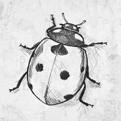 Bugs Drawing, Drawing Dragon, Drawing Heart, Bee Drawing, Animal Drawings Sketches, Drawing Eyes, Nature Sketch, Bug Art, Insect Art