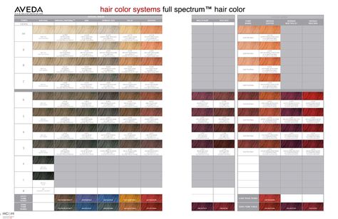 Ion Hair Color Chart, Blonde Color Chart, Hair Dye Color Chart, Aveda Blonde, Blonde Hair Color Chart, Brown Hair Color Chart, Hair Color Swatches, Aveda Hair Color, Brown Hair Color Shades