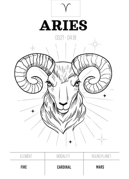 Aries Drawing Sketches, Aries Art Drawing, Aries Drawing, About Aries, Zodiac Circle, Ram Tattoo, Aries Art, Zodiac Wheel, Drawing Designs