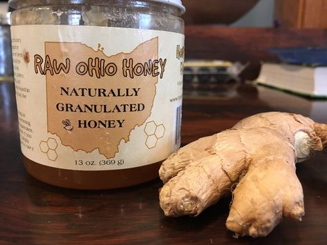 -posted by Jayne Today I am sharing a honey recipe for a "Ginger Bug", that can be used to create fizzy fermented beverages sometimes called ginger beer or natural soda. These are great if you are trying to cut the habit of drinking pop and other unhealthy drinks. It is similar to kombucha Natural Soda, Ginger Bug, Fermented Honey, Scd Recipes, Fermentation Recipes, Paleo Life, Soda Recipe, Fermented Drink, Fizzy Drink