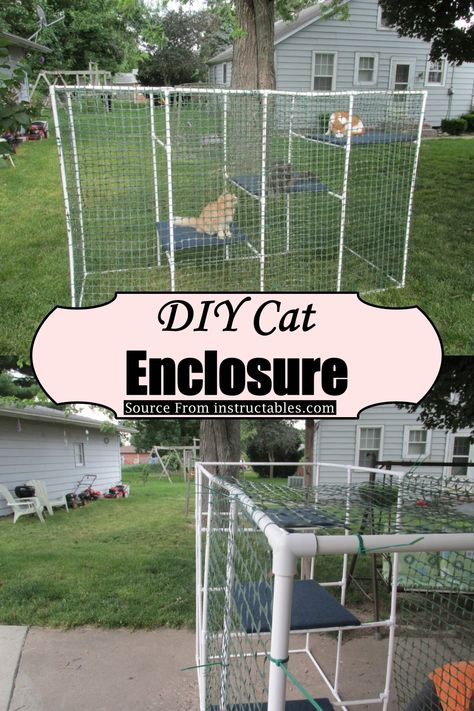 Diy Catios For Cats Easy, Diy Indoor Cat Enclosure, Diy Cat Enclosure Outdoors, Diy Catios For Cats Outside Cheap, Cat Fence Outdoor, Diy Catios For Cats Cheap, Diy Catios For Cats Outside, Diy Catios For Cats, Diy Cat Fence