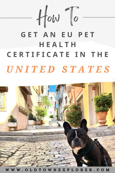 If you are traveling to Europe with your pet, you will probably need to get an EU Pet Health Certificate. We are traveling full-time with our Frenchie, Gus, and went through the process of getting an EU Pet Health Certificate in the United States. Here is a guide to know before you go. Moving To Europe, Traveling To Europe, Moving To Italy, Moving Abroad, Long Term Travel, Full Time Travel, Move Abroad, Medical Records, Dog Travel