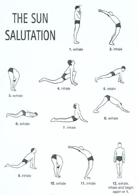 salute to the sun yoga poses | ve done a bunch of sun salutations in my new yoga class this week ... Good Night Yoga, Yoga Sun Salutation, Yoga Ashtanga, Sun Salutations, Poses For Beginners, Surya Namaskar, Reiki Symbols, Yoga Iyengar, Yoga Posen