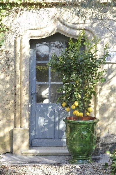 Anduze Pot, Style Toscan, French Garden Design, French Limestone, French Pottery, French Style Homes, Formal Gardens, Tuscan Style, French Garden