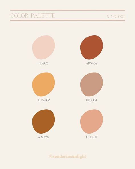 Blush Fall Color Palette, Pastel Fall Palette, Teddy Bear Color Palette, Warm And Cozy Color Palette, Pastel Fall Color Palette, Warm Cozy Color Palette, Cozy Colour Palette, Fall Color Palette Hex Codes, Fall Pastel Colors