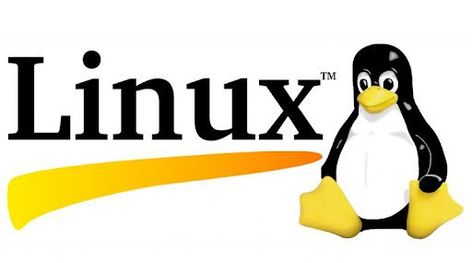 Linux is a family of open-source Unix-like operating systems based on the Linux kernel, an operating system kernel first released on September 17, 1991, by Linus Torvalds. Linux was originally developed for personal computers based on the Intel x86 architecture, but has since been ported to more platforms than any other operating system. Just like Windows, iOS, and Mac OS, Linux is an operating system; Android, one of the most popular platforms, is powered by the Linux operating system. Linux Shell, While Loop, Linux Operating System, Linux Kernel, Reading Data, Phone Plans, Music App, Ecommerce Solutions, Web Hosting Services