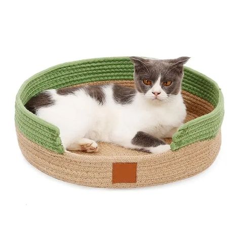 New Product High Quality Cotton Bed For Pets,Cotton Storage For Pet Accessories Bed With Sofa Handmade In Viet Nam - Buy Dog Bed Pet Supplies Rattan Dog Beds Natural Wood Beds Deluxe Solid Pine Wood Dog Cat Pet Sofa Waterproof Bed Easy Assembly,Bed For Dogs Dog Height-adjustable Foldable Rattan Bed Ramp For Dogs Cats Pet Fruit Pet Bed Flip Sofa Bed,Latest Fashion Indoor Wooden Pet Cat Dog Bunk Sleeping Bed With Bedding Sets Cat Accessories High End Sofa Bed Product on Alibaba.com Ramp For Dogs, Bed With Sofa, Natural Wood Bed, Cat Presents, Cat Dad Gifts, Pet Sofa, Sofa Handmade, Cat Themed Gifts, Sisal Rope