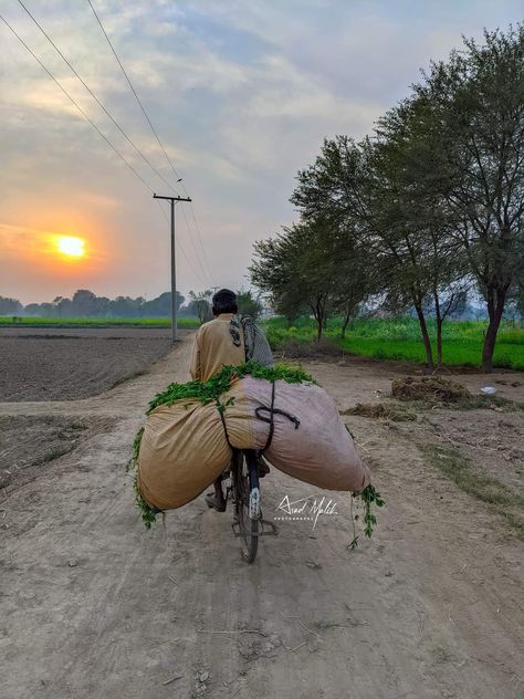 Somewhere in Rahim Yar Khan, Punjab, Pakistan. ,📷 By Asad Malik Punjab Aesthetic, Punjabi Aesthetic, Punjab Culture, Pakistan Beauty, Green Village, Rahim Yar Khan, Easy Magic Tricks, Village Photos, Punjab Pakistan