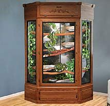 Majestic Reptile Cage Photo Wall Snake Cages, Diy Reptile, Snake Terrarium, Bearded Dragon Cage, Snake Enclosure, Bearded Dragon Care, Reptile Room, Reptile Terrarium, Guinea Pig Toys