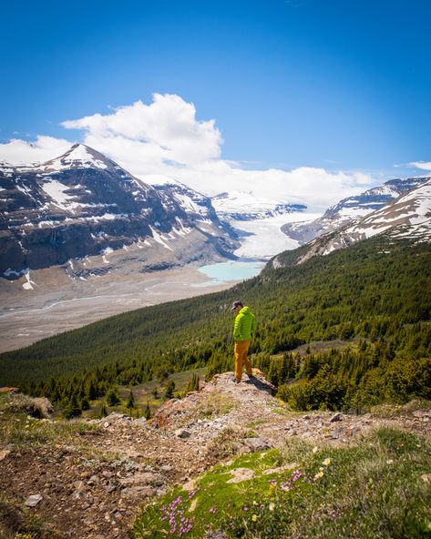 10 Tips for Visiting The Columbia Icefield (Athabasca Glacier) Columbia Icefields, Athabasca Glacier, Waterton National Park, Kootenay National Park, Canada Trip, Maligne Lake, Icefields Parkway, Adventurous Things To Do, Yoho National Park