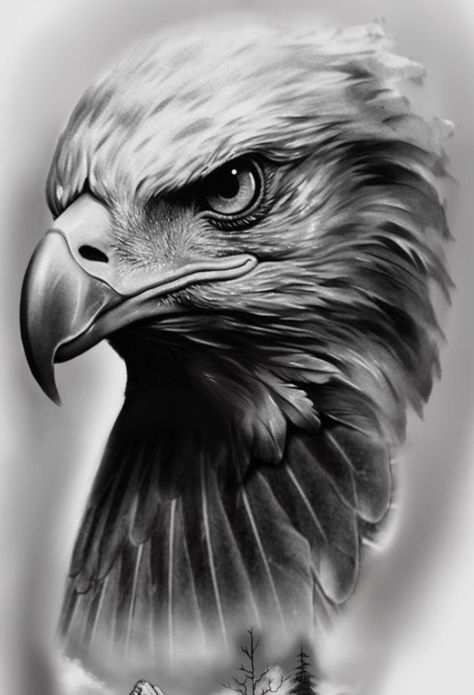 Eagle Tattoo Stencil, Egal Tattoo, Deer Tattoo Design, Bike Stickers Design Ideas, Eagle Portrait, Deer Tattoo Designs, Eagle Sticker, Eagle Face, Instagram Black Theme