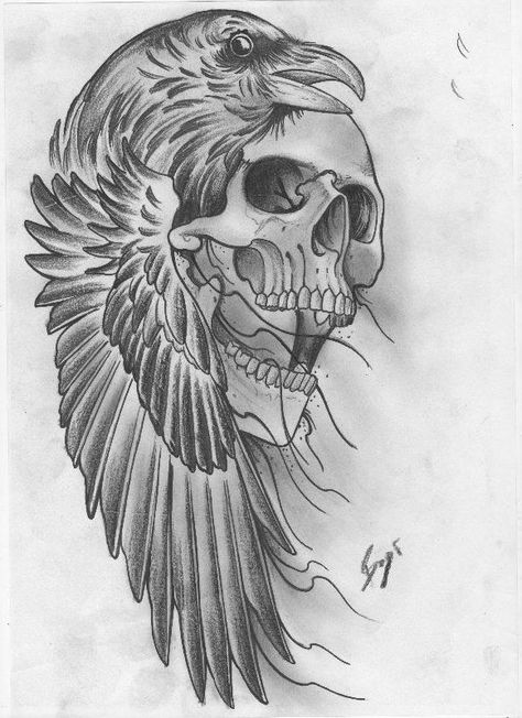 Crow And Skull Tattoo Design, Raven And Skull Tattoo Design, Hawk Skull Tattoo, Crow Art Drawing, Raven Tattoo Stencil, Crow And Skull Tattoo, Raven And Skull Tattoo, Eagle Skull Tattoo, Raven Skull Tattoo