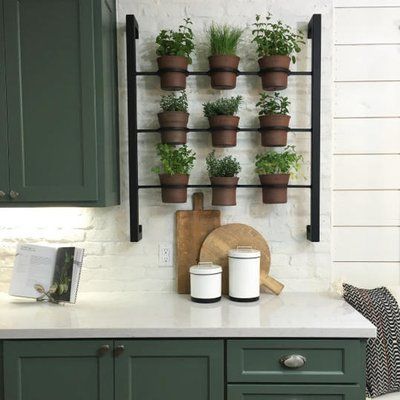 Apartment Herb Gardens, Hanging Herb Gardens, Living Wall Indoor, Fixer Upper Kitchen, Built In Pantry, Herb Garden In Kitchen, Herbs Garden, Green Kitchen Cabinets, Kitchen Herbs