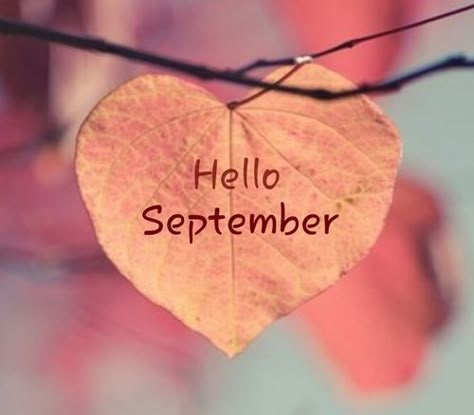 Hello September Heart Leaf september hello september welcome september happy… Hello September Quotes, Tuesday Thoughts, September Quotes, Welcome September, Heart In Nature, Hello September, Beautiful Pics, Sweet Messages, Fall Wallpaper