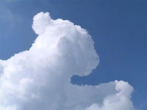 cloud pictures that look like things - Google Search Angel Clouds, The Blue Sky, Cloud Art, Cloud Shapes, Storm Clouds, Like Animals, White Clouds, Sky And Clouds, Beautiful Sky