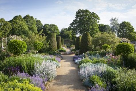 UK gardens - The rose garden in June at Mottisfont, Hampshire. Classic English Garden, Stately Home Gardens, English Rose Garden Design Cottage Style, Victorian Rose Garden, Tresco Abbey Gardens, David Austen English Roses, Cottage Victorian, Serenity Garden, Famous Gardens England