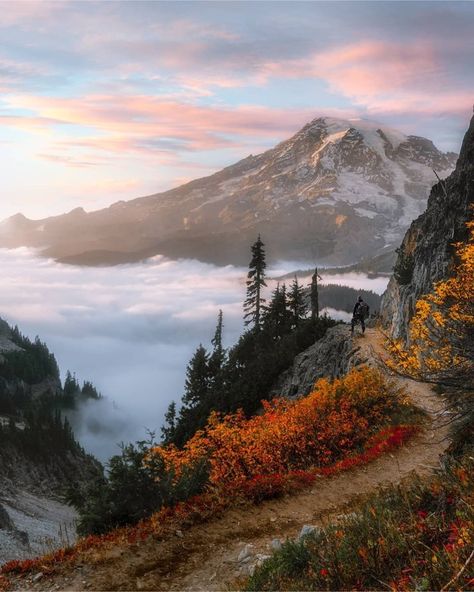 National Park Geek® on Instagram: “Take in the day at a National Park. •••• Thanks to Raymond @raymondstiehl for the Mt. Rainier magic. • Watching the sunset and the clouds…” Washington Mountains, Mt Rainier National Park, Mountain Pictures, Mount Rainier National Park, Mt Rainier, Rainier National Park, National Parks Usa, Pretty Landscapes, Pure Beauty