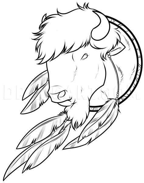 Native Buffalo Art, Buffalo Stencil, Dream Drawings, Native Drawings, Ring Png, Dream Catcher Drawing, Native American Tattoo Designs, Native American Drawing, Buffalo Painting