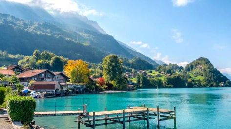 6 Best Things to Do In Iseltwald, Switzerland - Waterfront Dining, Hiking, and Scenic Cruise - EatandTravelWithUs Lake Brienz Switzerland, Iseltwald Switzerland, Switzerland Wallpaper, Brienz Switzerland, Lake Brienz, Switzerland Itinerary, Places In Switzerland, Waterfront Dining, Cruise Boat