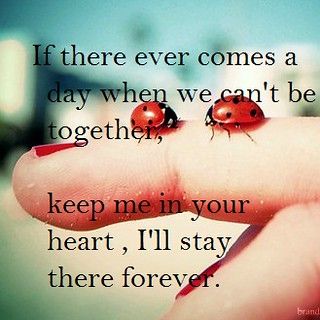 Ladybug Quotes, Lady Bug Tattoo, Cant Be Together, Miss You Dad, Ladybug Art, Timeline Photos, Favorite Quotes, Me Quotes, Words Of Wisdom