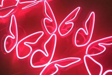 Light Red Aesthetic, Foto Muro Collage, Red Collage, Red Aesthetic Grunge, Collage Mural, Red Neon, Bedroom Wall Collage, Red Pictures, Red Wall