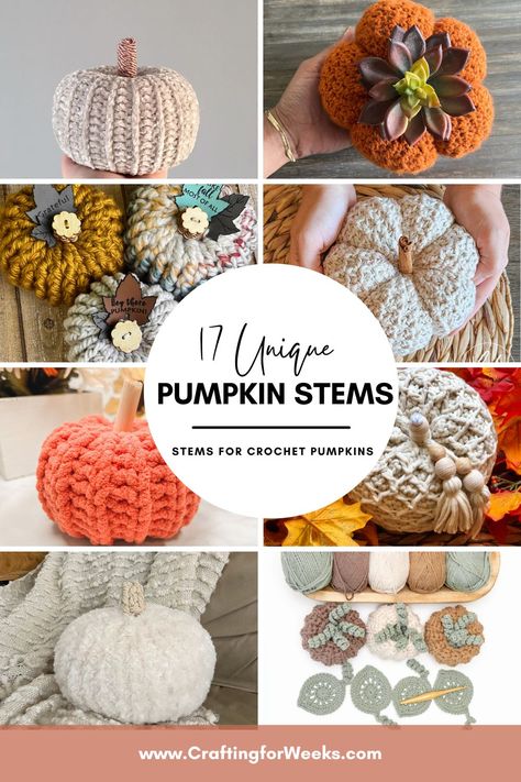 Need some ideas on how to finish your crochet pumpkins? Here's a list of 17 fun ideas to try out for your handmade pumpkins! Plus notes on the best ways to attach each one and links to create patterns to try them out on! How To Crochet A Pumpkin Stem, Crocheted Pumpkin Patterns, Handmade Pumpkins, Pumpkin Stems, Diy Pumpkins, Crochet Pumpkins, Fall Crochet, Pumpkin Stem, Pumpkin Leaves