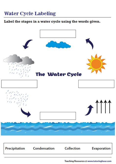 Water Cycle Labeling Worksheet The Water Cycle Worksheet, The Water Cycle, Water Cycle Lessons, Water Cycle Experiment, Water Cycle Diagram, Water Cycle Worksheet, Cycle For Kids, Word Puzzles For Kids, Plants Worksheets