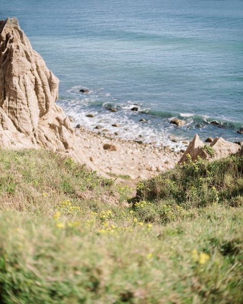 Montauk views >>> 🌼🌸🌻 📸: @sarahcebulskiphotography #montauk #visitmontauk #camphero Montauk Aesthetic, Camp Hero, Montauk New York, Vintage Colour Palette, Surf Art, Winter Aesthetic, Art Direction, Surfing, Layout