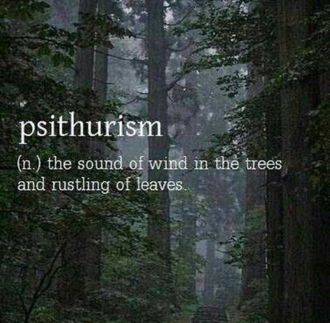 Psithurism: The sound of rustling leaves or wind in the trees. Word Meanings, Forest Aesthetic, Unique Words Definitions, Uncommon Words, Poetic Words, Word Nerd, Weird Words, Unusual Words, Rare Words