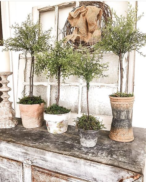 Easy DIY Topiaries You Can Make Yourself - The Ponds Farmhouse Kitchen Greenery Decor, Diy Topiaries, Topiary Decor, Topiary Diy, Topiary Plants, Topiary Trees, Faux Tree, Topiaries, Simple Budget