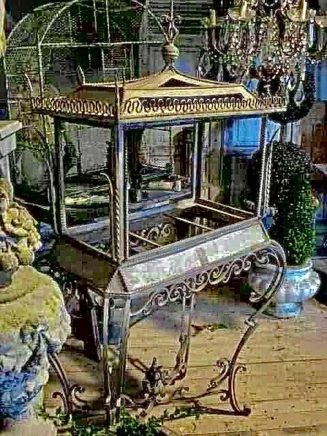 Victorian Terrariums, Champagne Cart, French Display, Wardian Case, South France, Aquarium Stand, Birdcages, Aquarium Design, Indoor Gardens