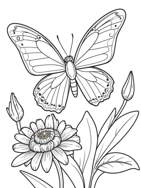 Birds Activities, Flower Colouring Pages, Butterfly Coloring Pages, Flower Coloring Sheets, Chibi Coloring Pages, Easy Butterfly, Easy Flower Drawings, Butterfly Coloring, Easy Art For Kids