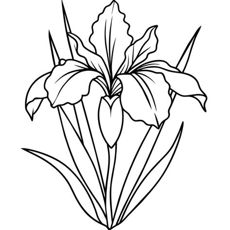 Plant Outline, Book Page Design, Purple Iris Flowers, Black And White Line Art, White Line Art, Line Art Drawing, Outline Illustration, Iris Flower, Purple Iris