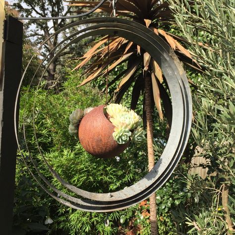 Up-cycling Wine Barrel Rings into Garden Art — Steven Wells The Gardener Barrel Rings Ideas, Wine Barrel Garden, Whiskey Barrel Rings, Wine Barrel Art, Whiskey Barrel Ring, Barrel Art, Gardening Design Diy, Wine Barrel Ideas, Wine Barrel Rings